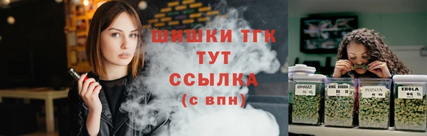 сатива Белокуриха