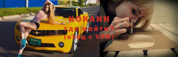 сатива Белокуриха
