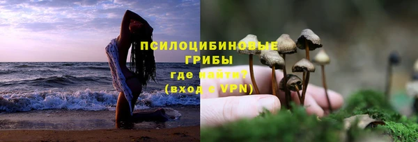 сатива Белокуриха
