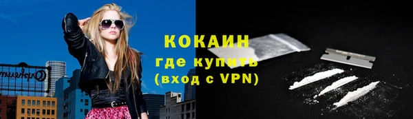 сатива Белокуриха