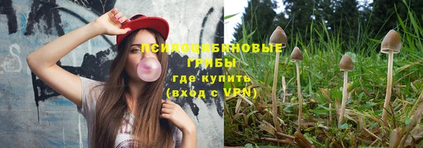 сатива Белокуриха