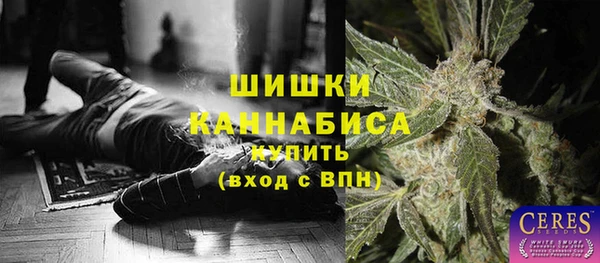 сатива Белокуриха