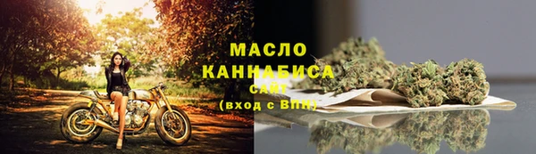 сатива Белокуриха