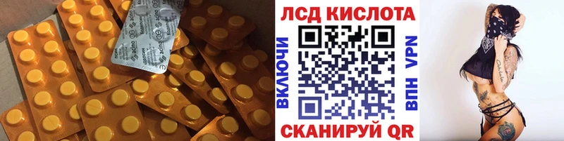 Купить закладки  Гатчина  ЛСД экстази ecstasy 