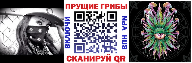 Псилоцибиновые грибы GOLDEN TEACHER  Купить закладки  Гатчина 
